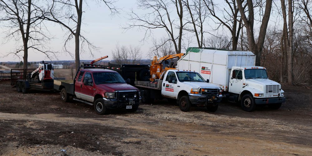 winter tree service/year-round tree service