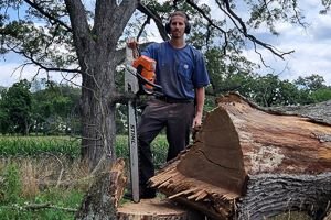 Tree Service Rockford, IL