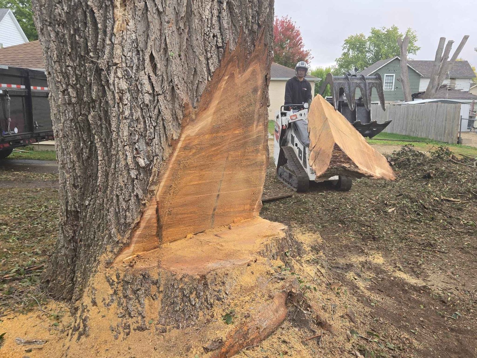 Tree Service Rockford, IL