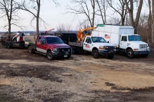 full service Tree company Rockford