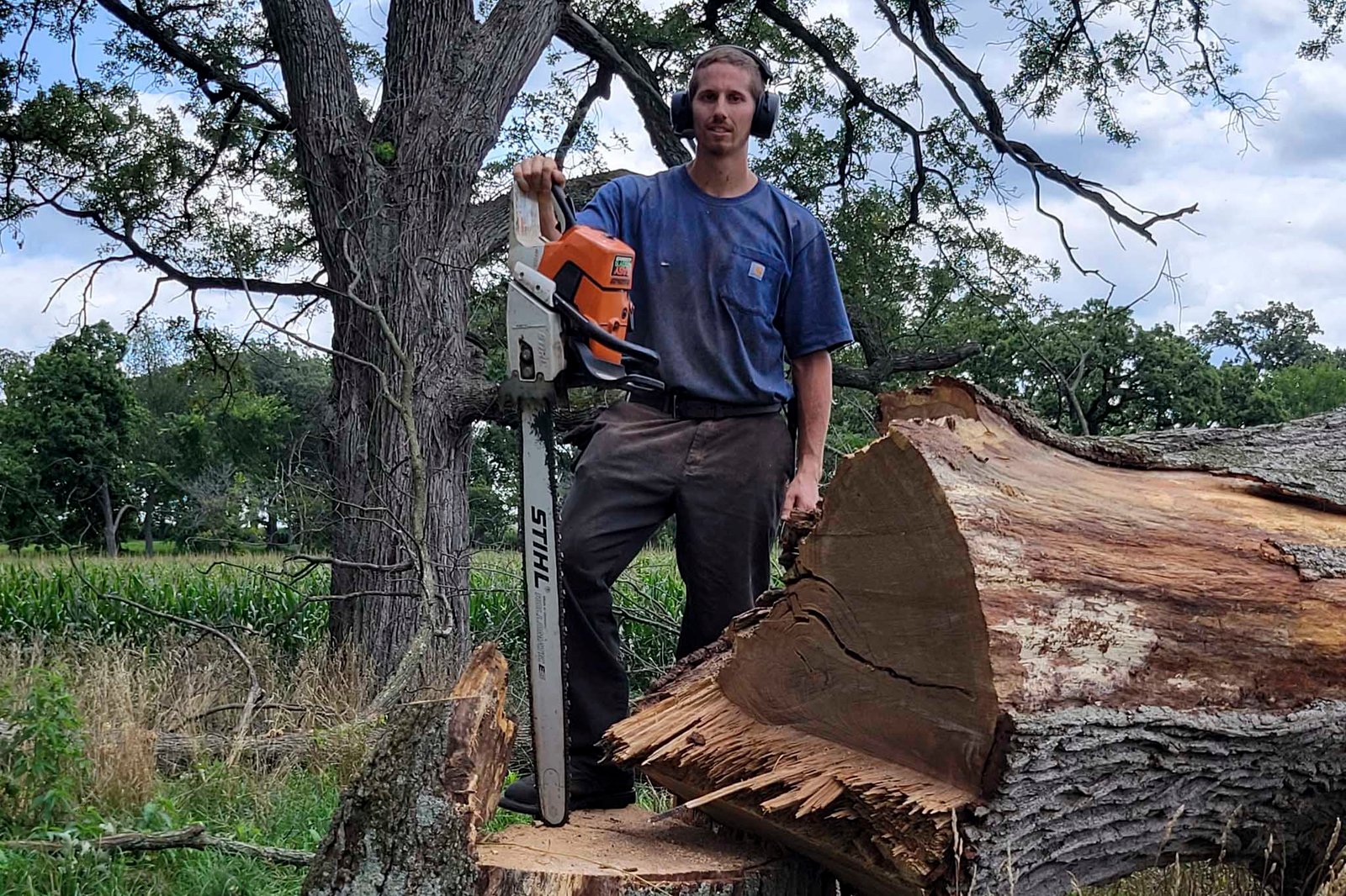 Tree Service Rockford, IL